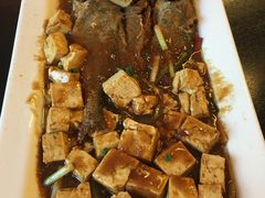 小黄鱼烧豆腐-和园餐厅