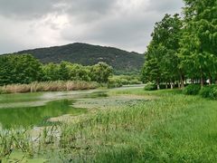 -长广溪湿地公园