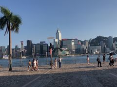 -一乐烧鹅(中环店)