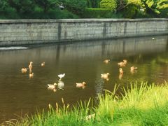 -元大都城垣遗址公园