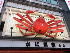 -蟹道乐(道顿堀本店)