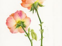 -八哥美术·成人美术画室(总校区)