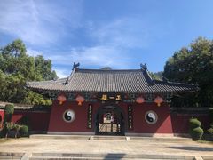 -江西龙虎山景区