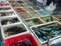 -霞涌市场海鲜摆卖区