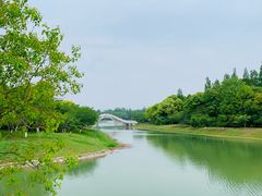 -上海海湾国家森林公园