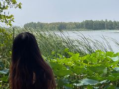 -东湖落雁景区