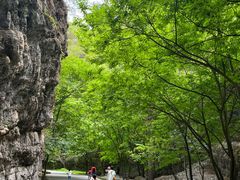 -野三坡百里峡景区