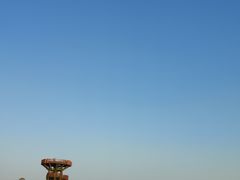 -芒洲湿地公园