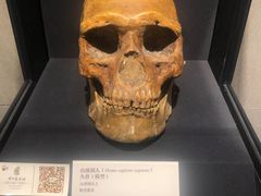 -北京周口店北京人遗址博物馆