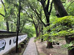 -上海佘山国家森林公园天马山园