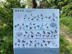 -同里国家湿地公园