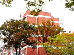 -新江湾城公园