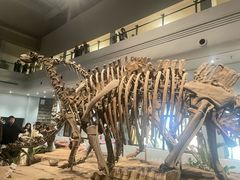 -自贡恐龙博物馆