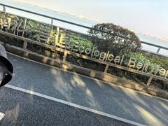 -大湾区中央湿地公园