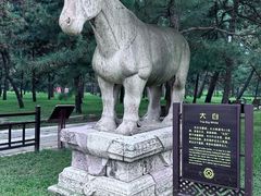 -北陵公园