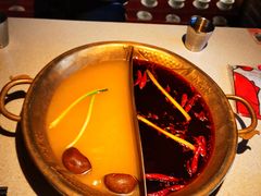 -小龙坎火锅(全球旗舰店)