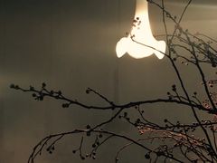 -发现花馆西餐厅FA Restaurant