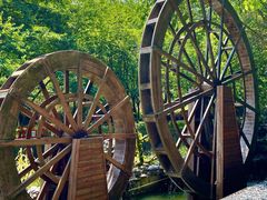 -广州白江湖森林公园