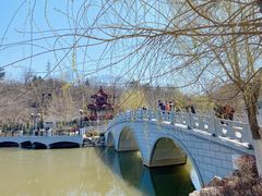 -大连植物园