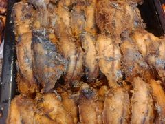 -九多肉多(王城路店)