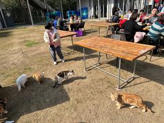 -前小桔亲子创意农场·草莓采摘·露营烧烤