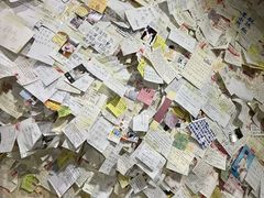 -沉香牛肉面