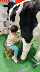 -秦皇星际小蚂蚁乐园