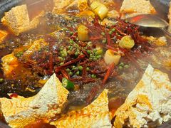 -探鱼·鲜青椒爽麻烤鱼(番禺万达店)
