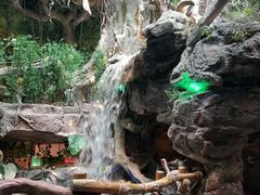 -多彩贵州城极地海洋世界