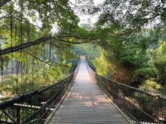 -南宁良凤江国家森林公园