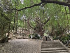 -胡里山炮台