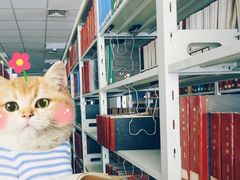 -吉林大学(前卫南区)