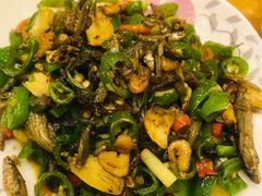 -榕江牛瘪牛肉火锅