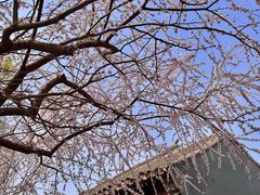 -三里河公园