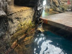 -大阪海游馆