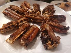 -陈鹏鹏潮汕菜(宝安机场T3航站楼店)