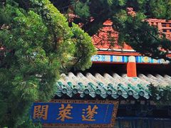 -蓬莱阁景区