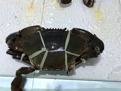 -海盗餐厅