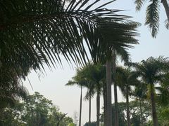-中国科学院西双版纳热带植物园