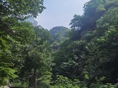 -北京上方山国家森林公园