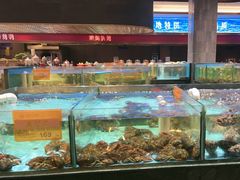 -国惠大酒楼(仓山万达店)