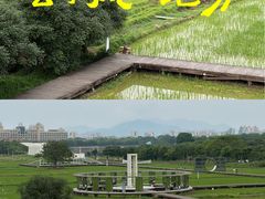-风云岭森林公园