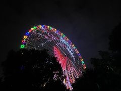 -凤岭儿童公园