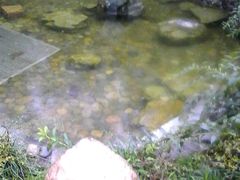 -黄山温泉国际旅游度假区