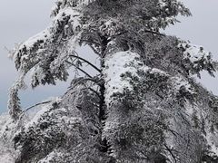-九峰山