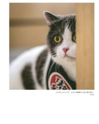 -ZOO KIDS象集摄影工作室(西城公馆店)