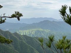 -王顺山国家森林公园