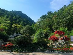 -黔灵山公园