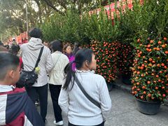 -风云岭森林公园