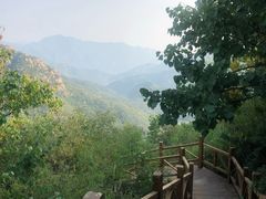 -大岭沟猕猴桃谷风景区